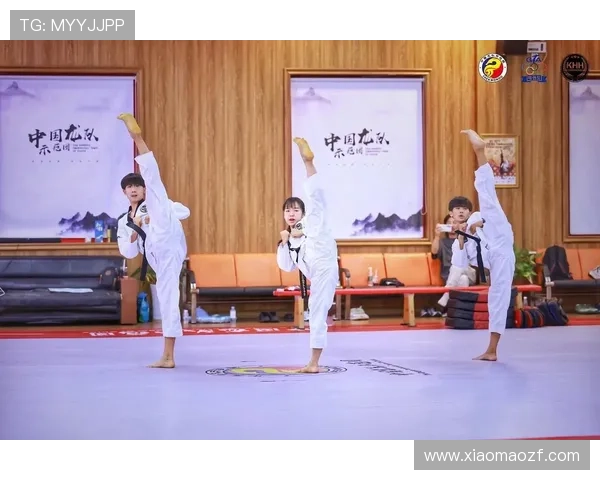 中国队勇夺跆拳道世锦赛奖牌榜首创历史佳绩展现强劲实力