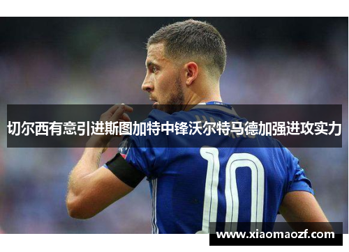 切尔西有意引进斯图加特中锋沃尔特马德加强进攻实力